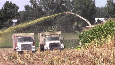 Claas Jaguar 960 Chopping Corn Youtube