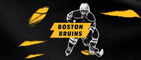 Boston Bruins Tickets & 2024 Bruins Games | Vivid Seats