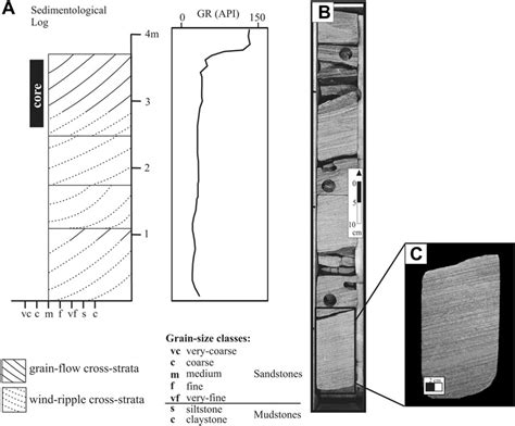 A Typical Vertical Profile And Gamma Ray Log For The Aeolian Dune