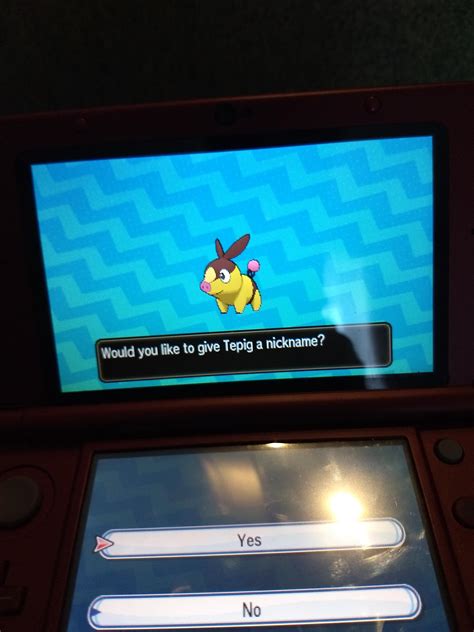 [7] 685 Eggs Shiny Tepig : r/ShinyPokemon