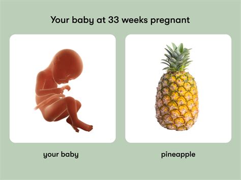 33 Weeks Pregnant Symptoms Tips And Baby Development
