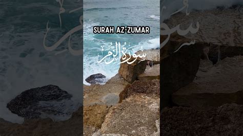 Surah Az Zumar Ayat Urdu Translation