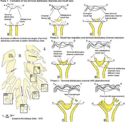 Figure 13 From Terminal Distributary Channels And Delta Front