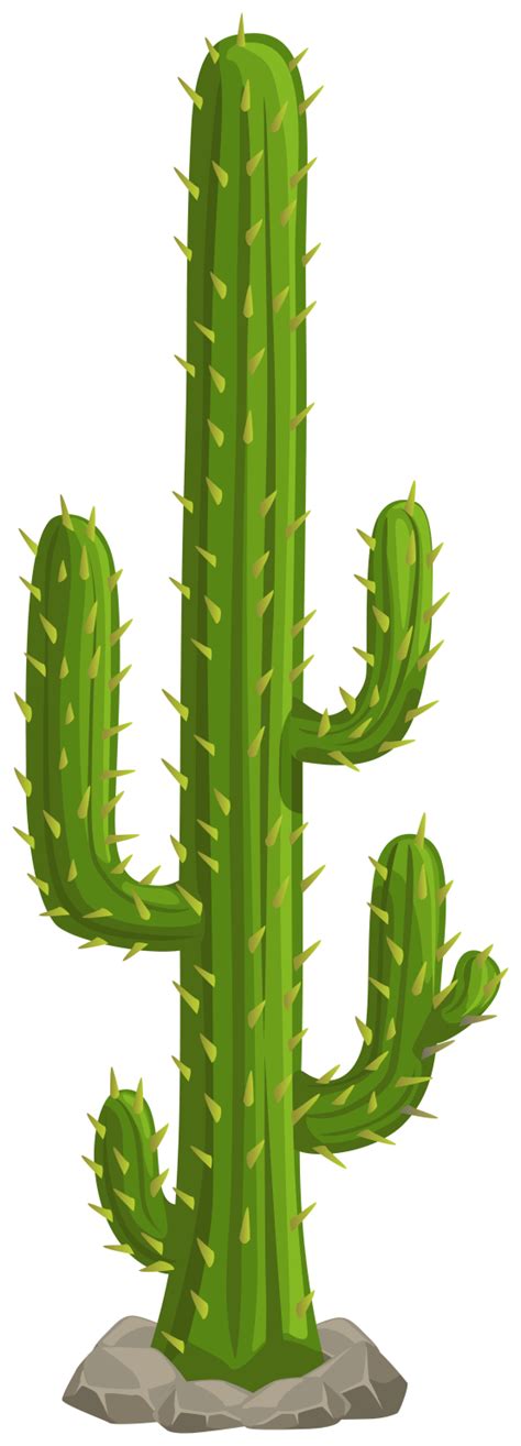 Cactus Hq Png Image