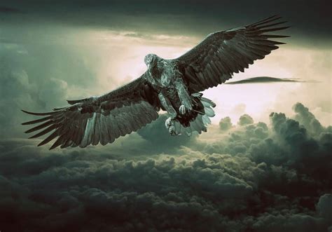 The EAGLE SPIRIT ANIMAL Ultimate Guide (Meanings & Symbolism)