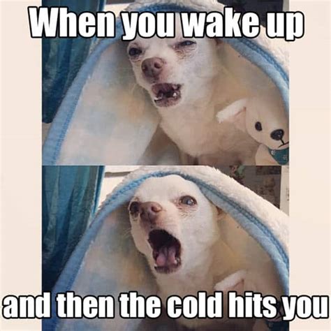 20 Cold Weather Memes That Perfectly Sum Up All The Winter Feels