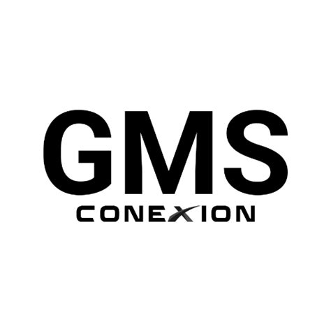 GMS Conexion Google Play 앱