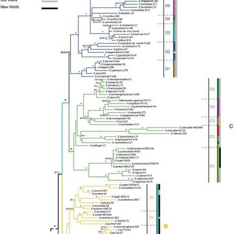 Phylogram Of The Best Maximum Likelihood Tree Statistical Support