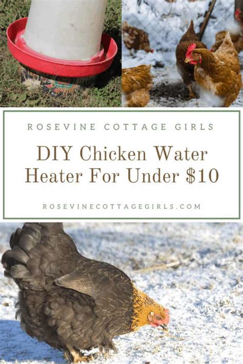 23 DIY Heated Chicken Waterer Plans