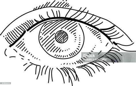 Human Eye Drawing Stock Illustration Download Image Now Eye Sketch