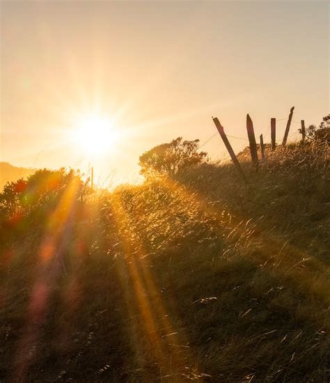 Photo of a Hill at Sunset · Free Stock Photo