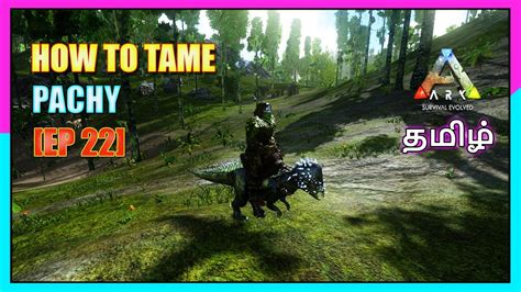 How To Tame Pachy Ark Mobile Tame Series Ep Mr Raptor