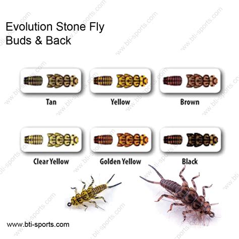 Stonefly Nymphs & Stonefly Nymph Fly Patterns Tying Parts True Flies ...