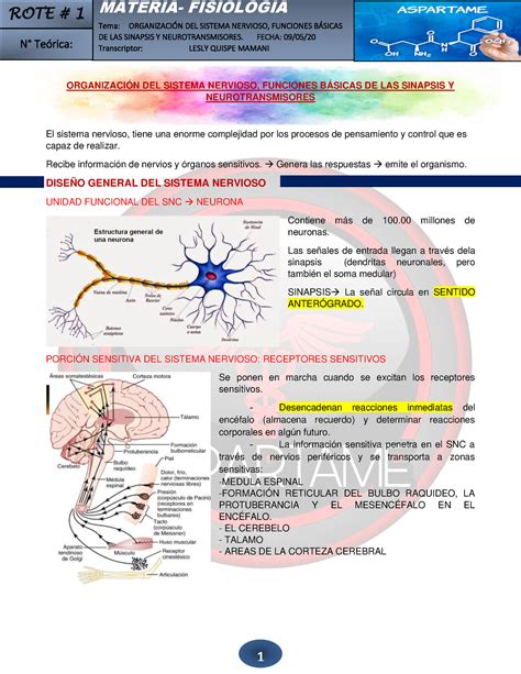 Guyton Resumen De Neurofisiolog A Materia Fisiologia Tema