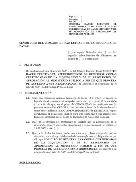 Solicitud Para Hacer Efectivo El Apercibimiento De Remitir Copias