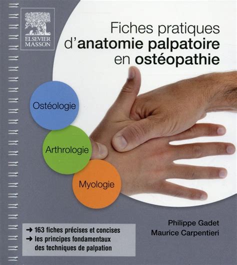 Fiches pratiques d anatomie palpatoire en osthéopathie 2e édition