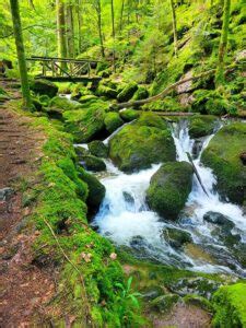 Gertelbach Wasserfälle wandern Gertelbach Rundweg Bühlertal