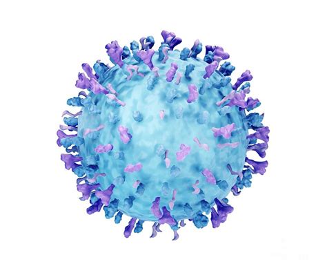 Respiratory Syncytial Virus Rsv By Artur Plawgo Science Photo Library