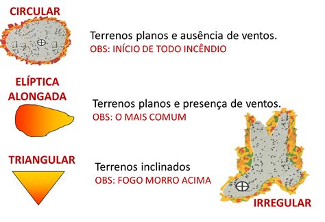 Incêndios Florestais Aula 3 Propagação dos incêndios florestais