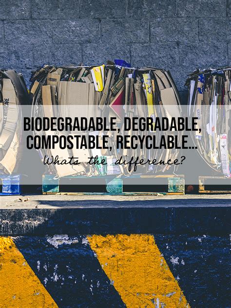 Biodegradable Degradable Compostable Recyclable Whats The