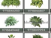 270 Decals For Plants In Bloxburg Ideas Bloxburg Decals Codes House