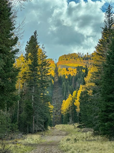 Visit the White Mountains of Arizona