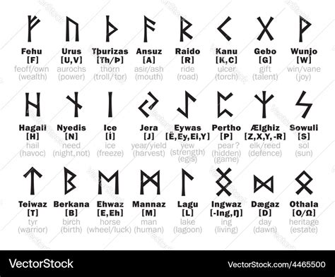 Futhark runic alphabet and its interpretation Vector Image