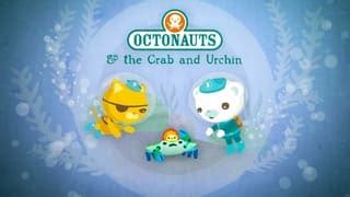 The Immortal Jellyfish Octonauts Wiki Fandom Atelier Yuwa Ciao Jp