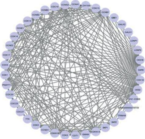 Cks B Related Gene Enrichment Analysis A The Binding Protein Map