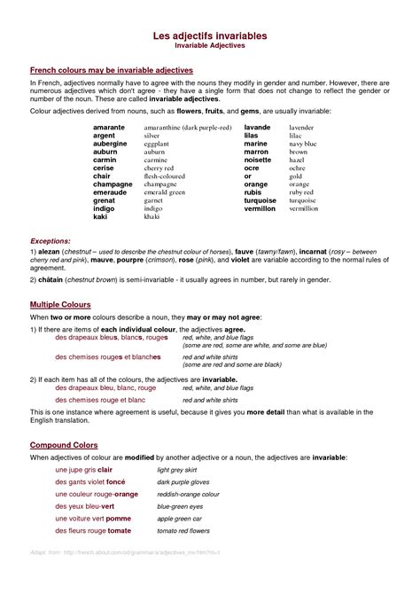 17 French Adjectives Worksheet