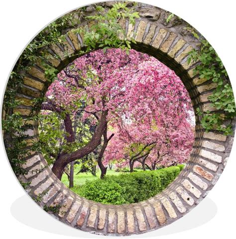 Wallcircle Wandcirkel Doorkijk Sakura Bloesem Japans