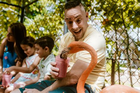 Free admission during summer to Jungle Island, Miami