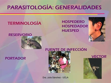 Ppt Parasitolog A Generalidades Powerpoint Presentation Free