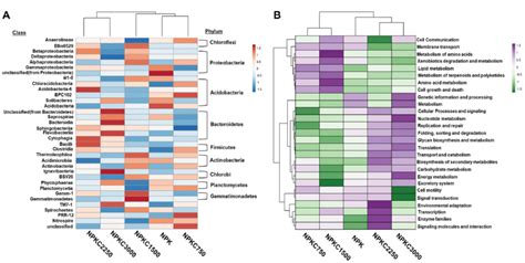 A Heatmap Illustrating Relative Abundance Of Different Bacterial