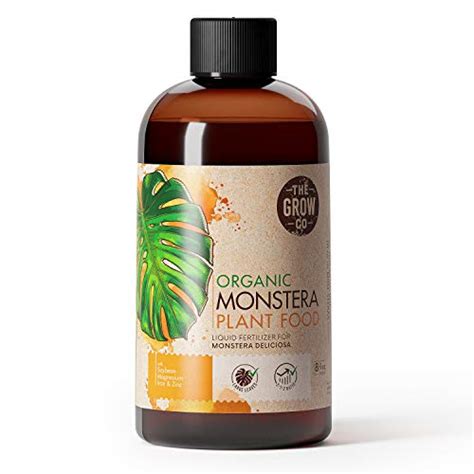 Best Fertilizer For Monstera Top Choices For Lush Growth Foliage