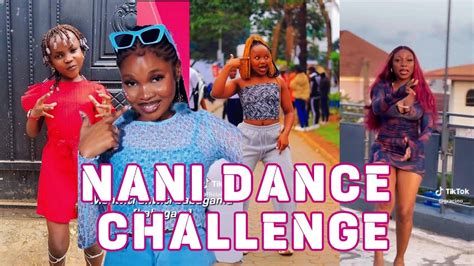 Nani Dance Challenge D Voice Ft Zuchu Best Of TikTok Compilation