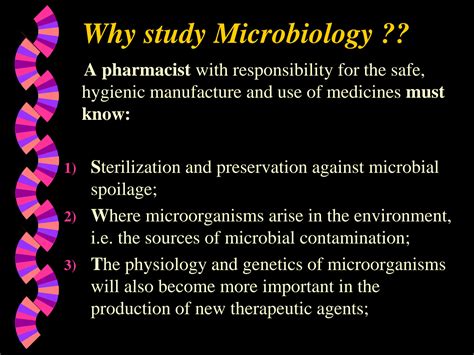 Solution Introduction Morphology Studypool