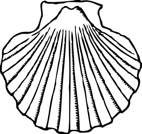 Clip Art Of Clams Clipart Best
