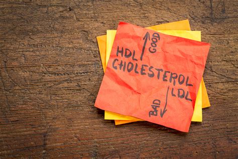 8 Ways To Raise Your Good Hdl Cholesterol Easy Health Options®