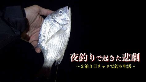 新鮮な状態で死んだ魚の理由がヤバすぎた【2泊3日チャリで釣り生活＃2】 山陰釣り新報