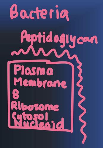 Lecture 1 An Introduction To Microbiology Flashcards Quizlet