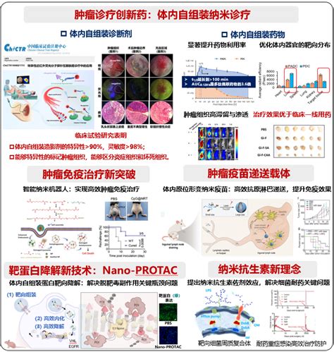 体内自组装创新药物临床转化研究 —— 新概念 新技术 新方向 国家纳米科学中心