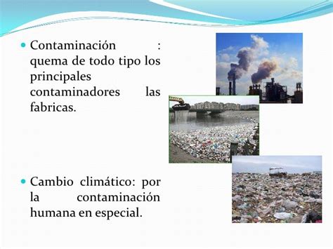 Causas Del Deterioro Ambiental