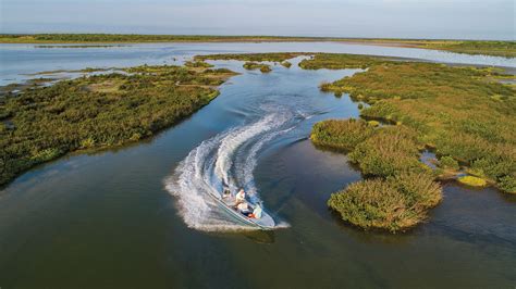 Laguna Atascosa National Wildlife Refuge The Wild Rio Grande Valley