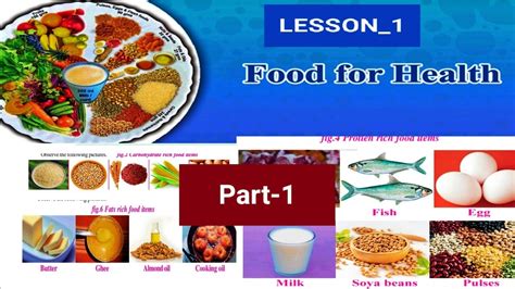 Th Class Ap New Syllabus Science Textbook Food For Health Part Th