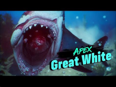 FIGHTING THE APEX GREAT WHITE SHARK Maneater Apex Fights YouTube