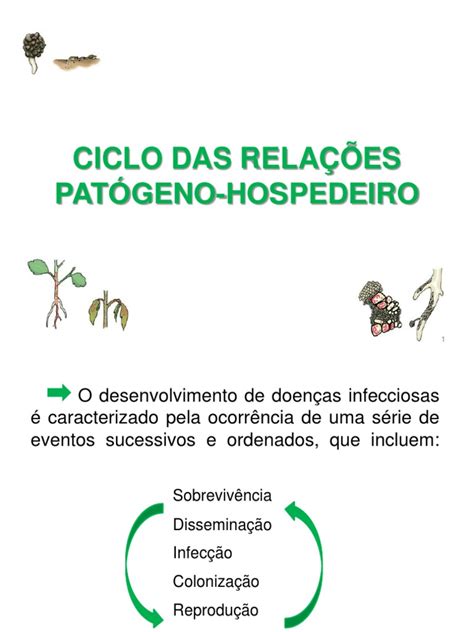 O Ciclo Das Relações Patógeno Hospedeiro Da Sobrevivência Do Patógeno à Colonização Do