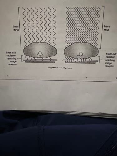 Receptor Exposure Density Flashcards Quizlet