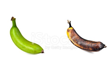 Plantain Green And Ripe Stock Photo | Royalty-Free | FreeImages