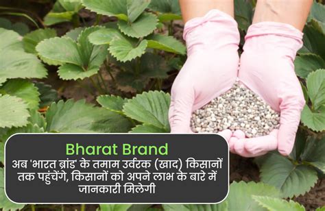 All Fertilizers Under Bharat Brand Farmers With Benefits Khetivyapar